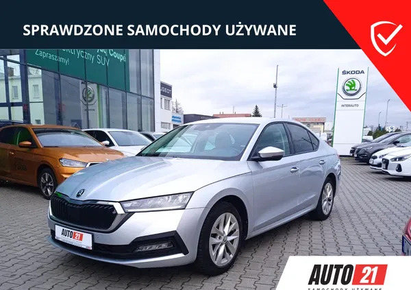 skoda podkarpackie Skoda Octavia cena 93900 przebieg: 69231, rok produkcji 2021 z Tarnów